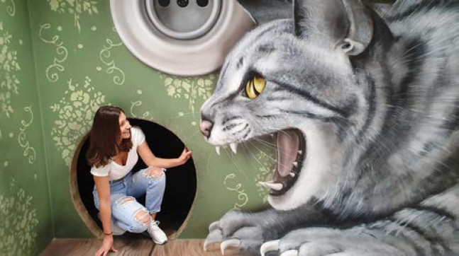 MUSEUM OF FANTASTIC ILLUSIONS